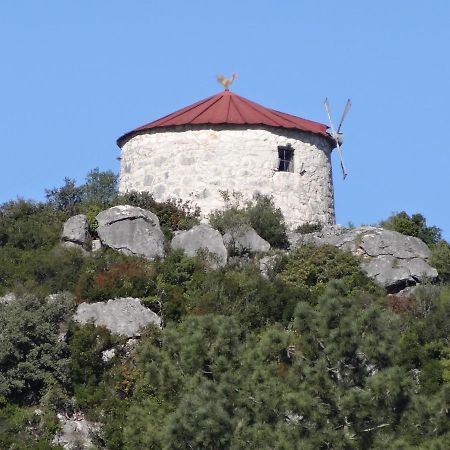 Casa Da Riguerinha Bed and Breakfast Monsanto Εξωτερικό φωτογραφία