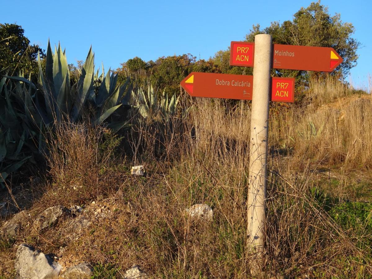 Casa Da Riguerinha Bed and Breakfast Monsanto Εξωτερικό φωτογραφία